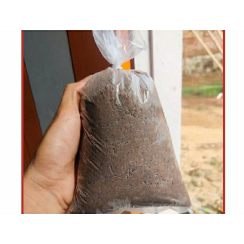 

TERASI BASAH ASLI LABUHAN MARINGGAI..ukuran 1kg