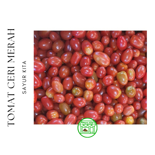 

Tomat Ceri Merah 500 gr