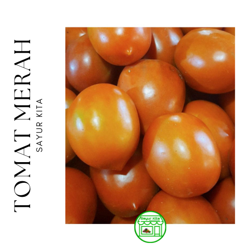 

Tomat Merah 1 kg