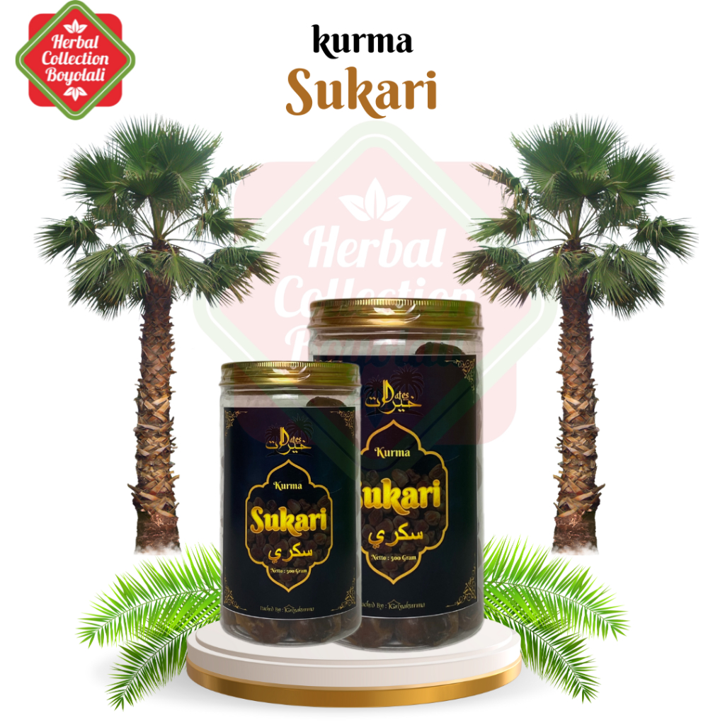 

Kurma sukari 500gr griya kurma kurma premium grade A sukari kurma kemasan toples