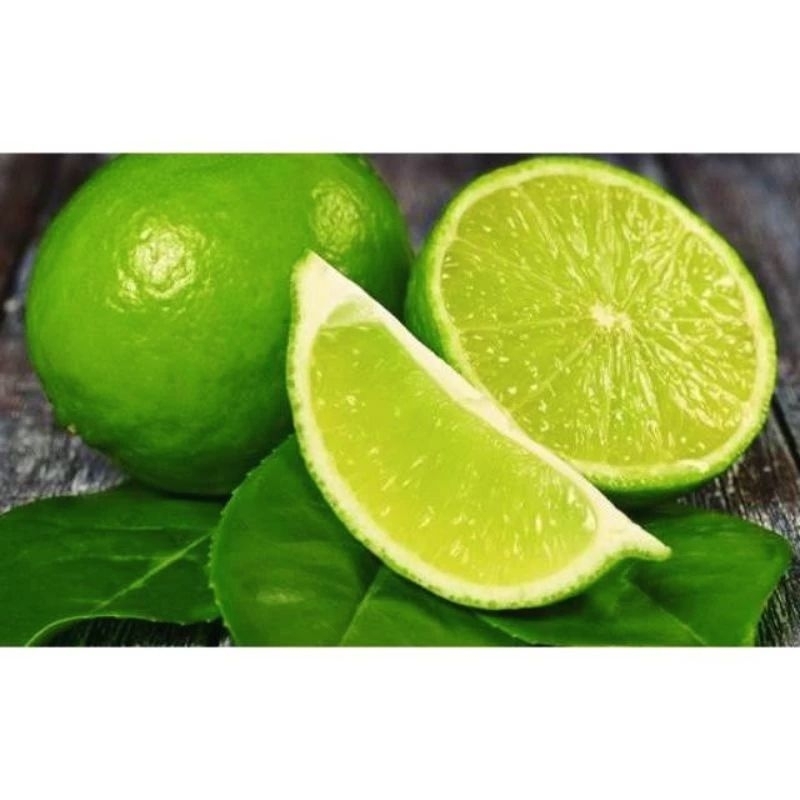 

Jeruk Nipis Fressh 1 KG baru ambil dari pohon