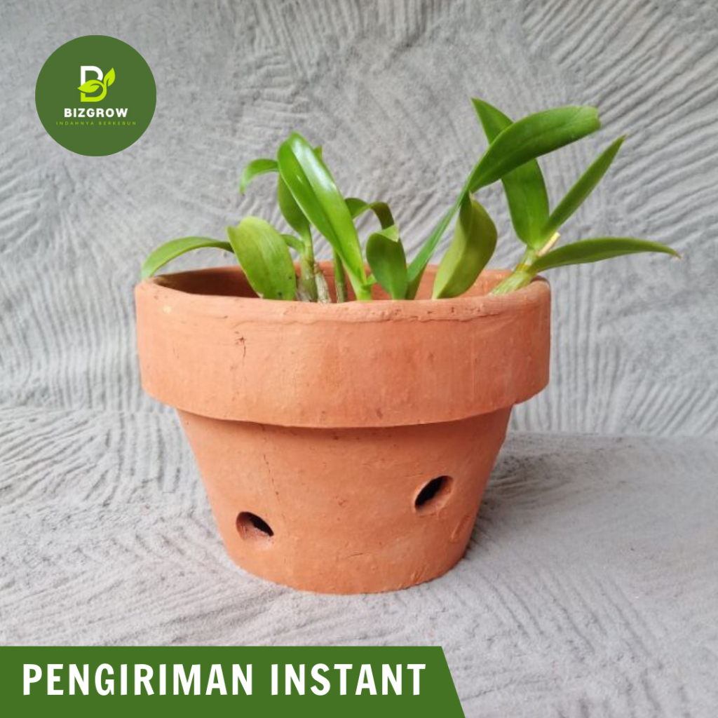 Pot Anggrek Tanah Liat Diameter 15cm | Pot Gerabah Terakota D15 (Instant)