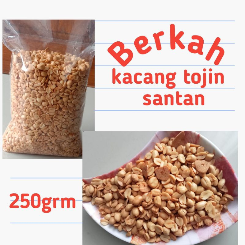 

KACANG TOJIN SANTAN *kemasan 250grm*