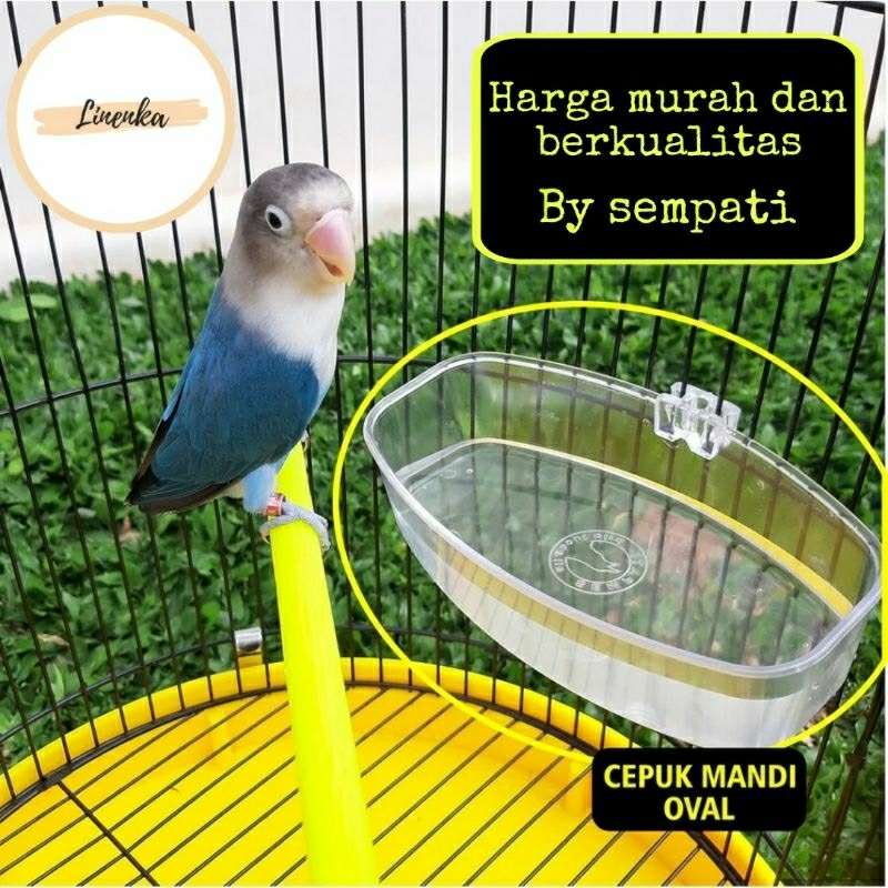 CEPUK MANDI OVAL TEMPAT PAKAN MINUM BURUNG LOVEBIRD KENARI