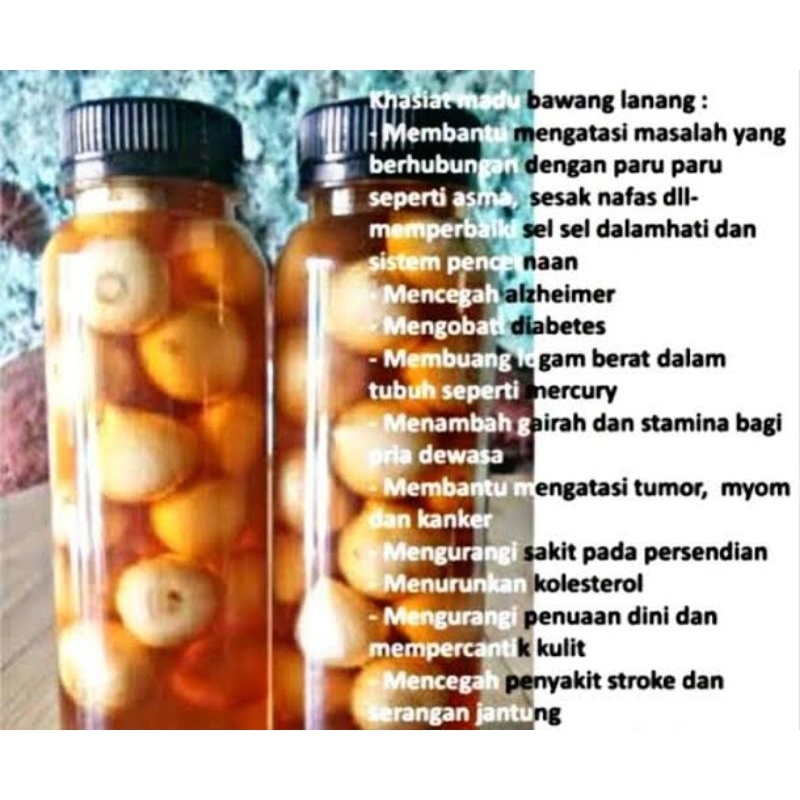 

Bawang Lanang Tunggal Fregmentasi Madu kemasan 100 Gram