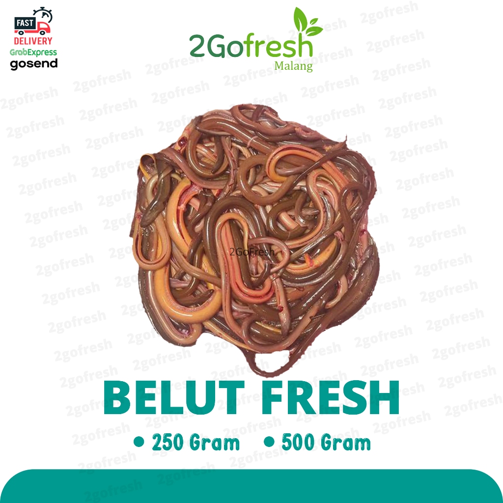 

Belut Fresh - Ikan dan Sayur Sayuran