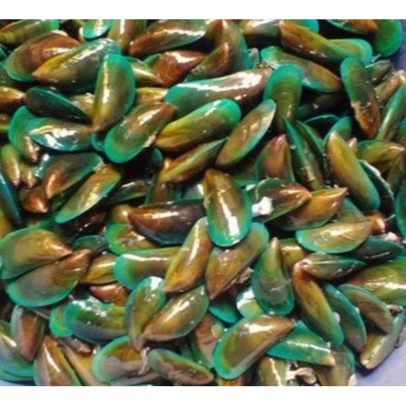 

kerang hijau fresh 1kg