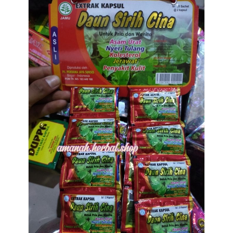 DAUN SIRIH CINA KAPSUL ORIGINAL 100%
