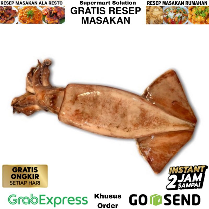 

Cumi-Cumi Besar Segar