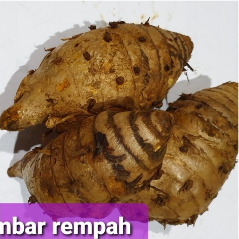 

Temulawak 1kg