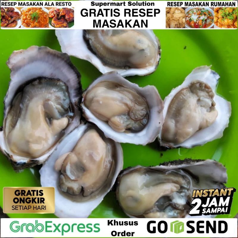 

Kerang tiram / Oyster Seafood
