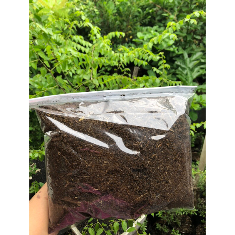 KOHE KAMBING GILING (pupuk kandang) pupuk tanaman
