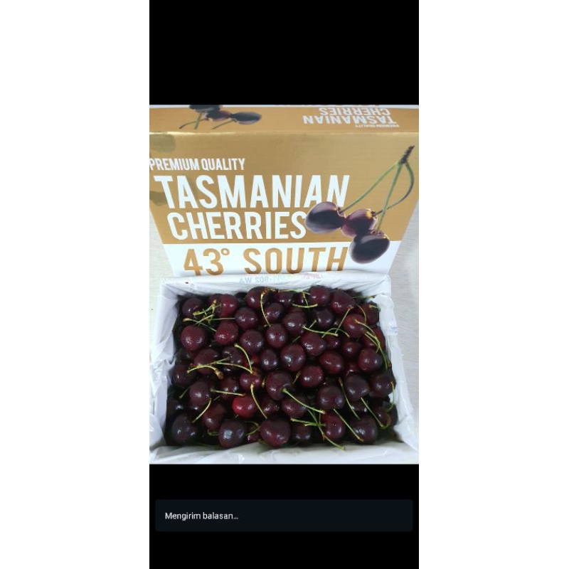 

Buah Cerry Tasmanian box