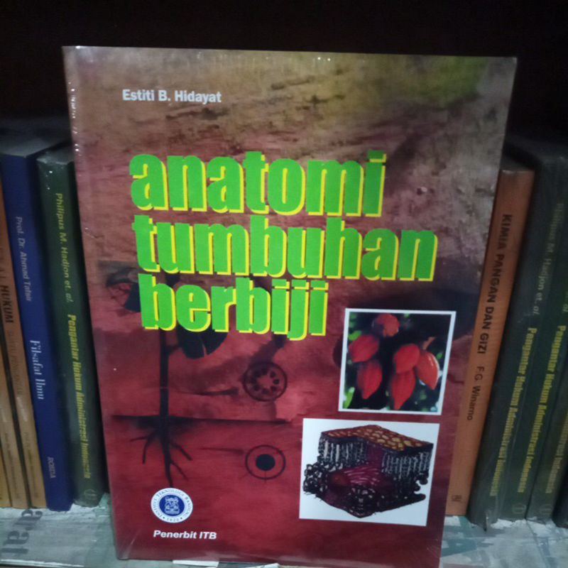 

ANATOMI TUMBUHAN BERBIJI