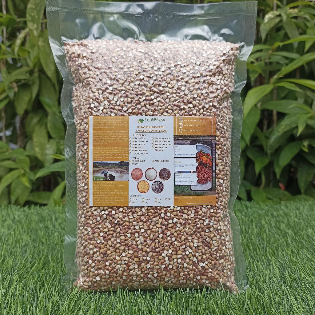 

Sorgum Ketan Merah | Enak dan Pulen | Fresh Langsung dari Petani 1kg