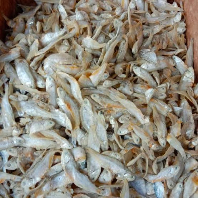 

Ikan Bilih / Ikan Bilis Asin / Ikan Asin Bilis 100 gram