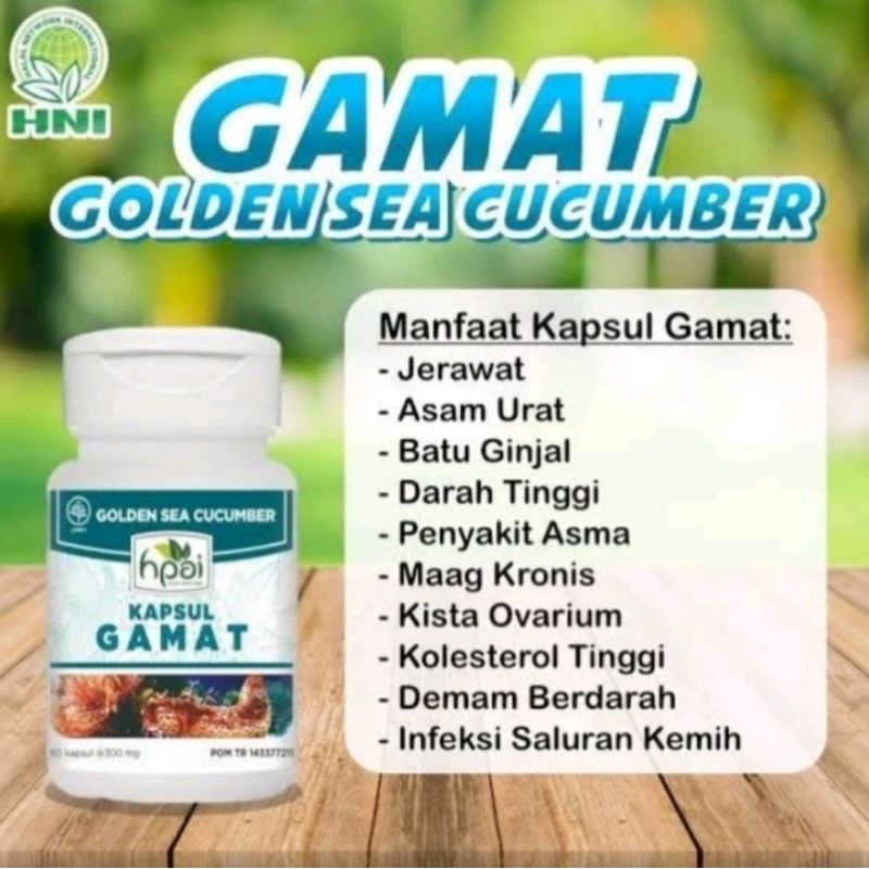 kapsul GAMAT HNI HPAI