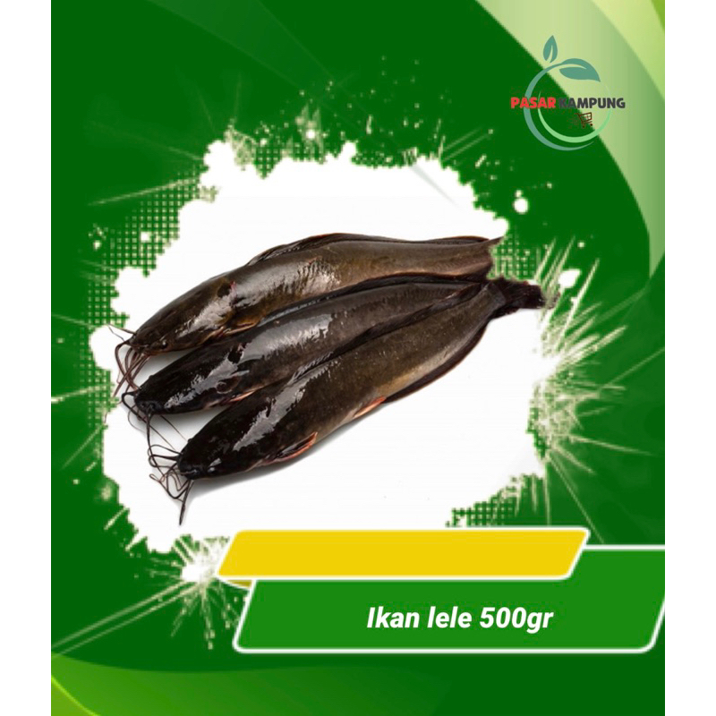 

ikan lele 500gr [hanya dipesan H-1 maksimal jam 5 pagi jika dikirim dihari yg sama]