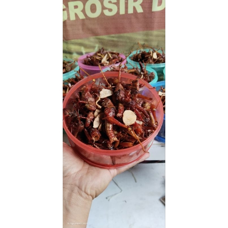 

walang goreng/belalang goreng besar rasa pedas asin 165 gram