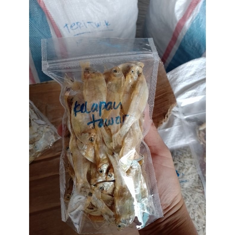 

aneka ikan kering