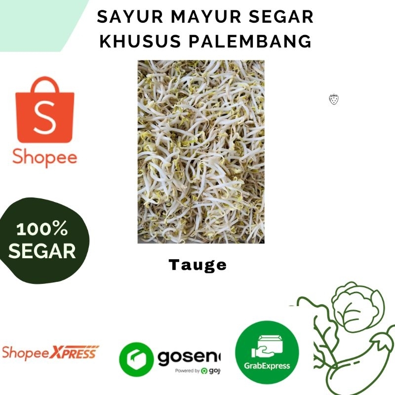 

Tauge Segar 250 Gram -Sayur Mayur Segar khusus Palembang