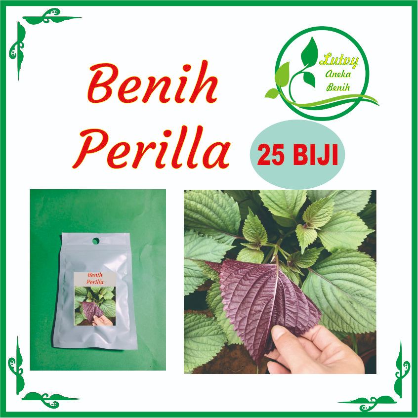 BENIH BUNGA PERILLA ISI 25 BIJI