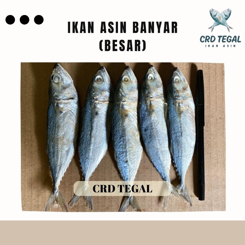 

Ikan Asin Banyar CRD TEGAL (250 gram) Kering Murah