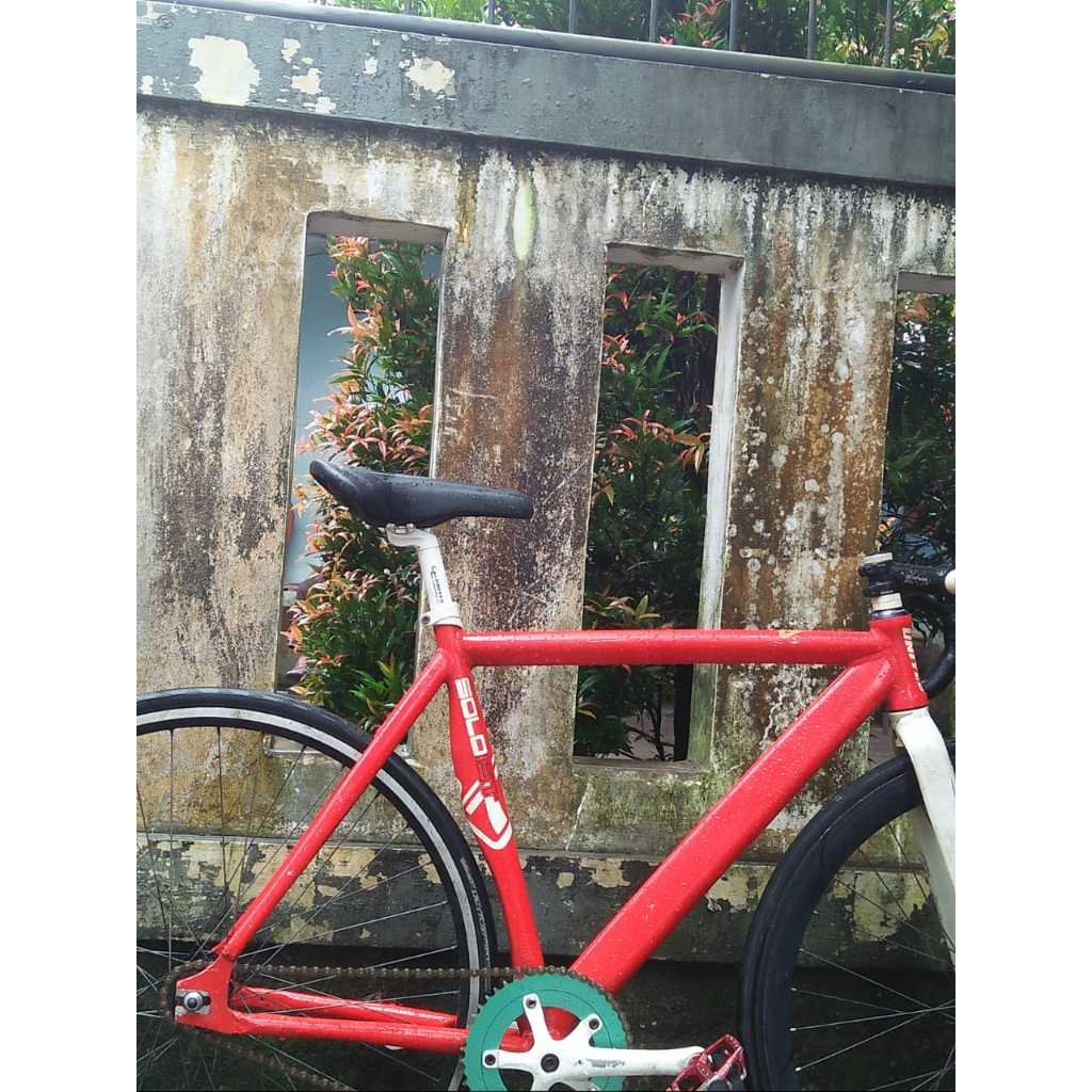 frameset soloist77 fs