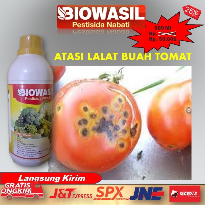 Murah BIOWASIL Pestisida Nabati 500 Ml Paling Ampuh Pupuk Pengendali Hama Lalat Buah Sayur Tomat – O