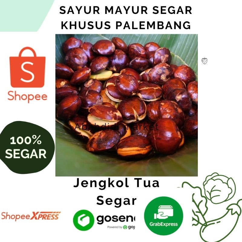 

Buah Jengkol Tuo
