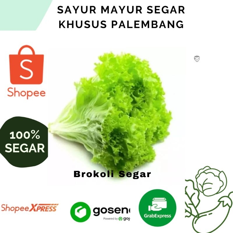 

Brokoli Segar dan Sehat Palembang 250 Gram