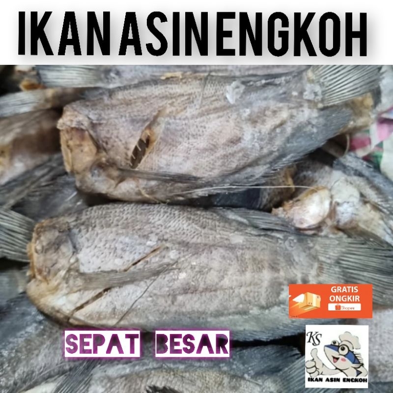 

ikan asin sepat besar