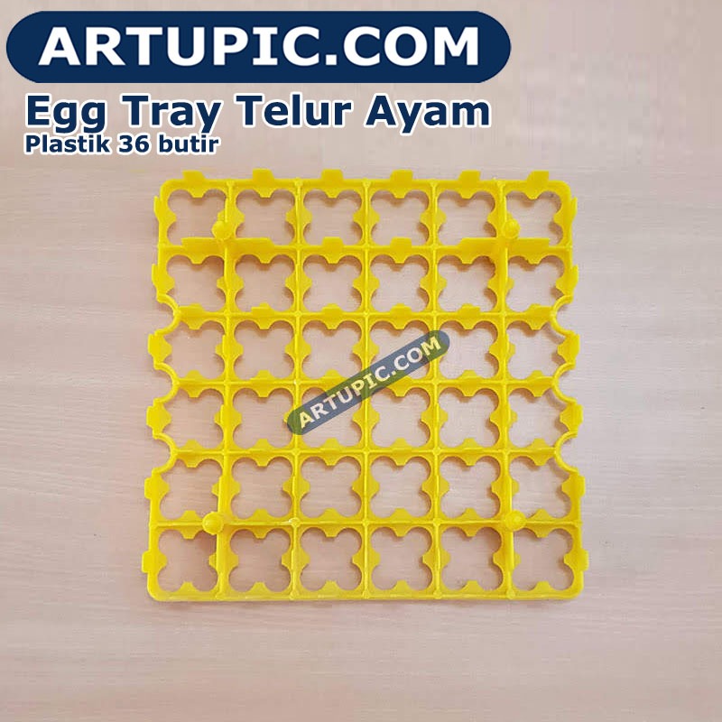 TRAY TELUR AYAM / TEMPAT TELUR / TEMPAT TELUR AYAM
