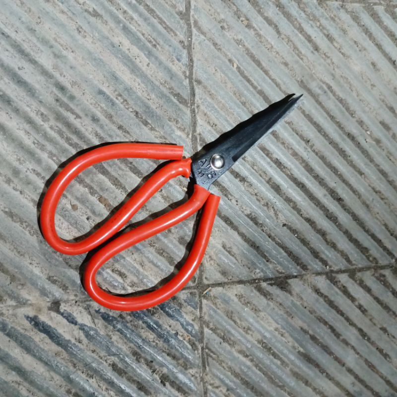 

Gunting Kodok Serbaguna Kuat