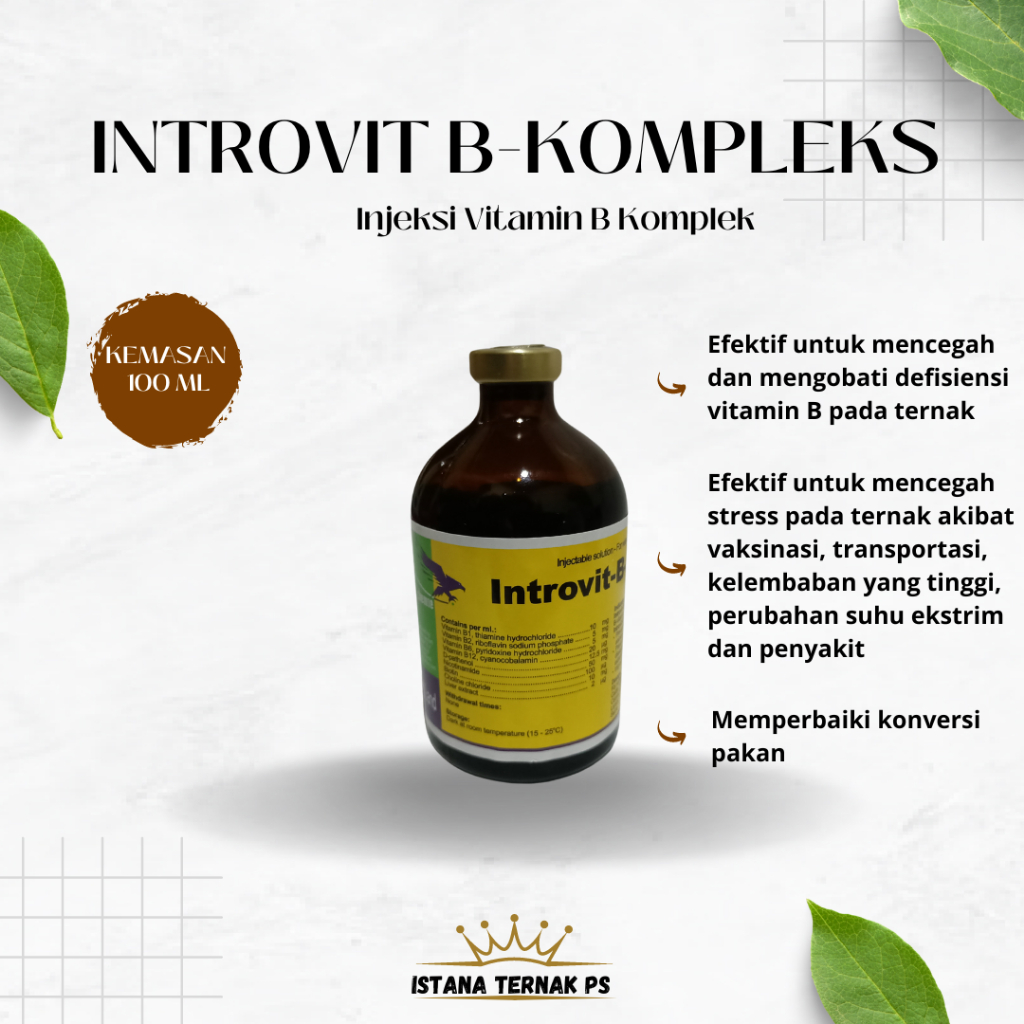 Introvit B Complex 100 ml. Vitamin B kompleks untuk Ternak