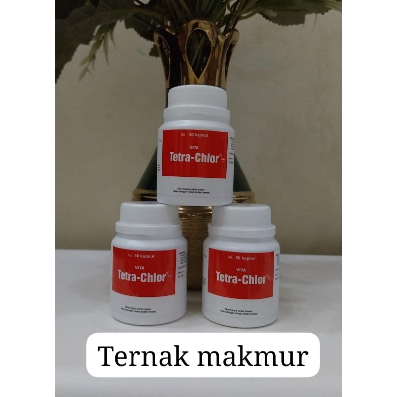 Tetra Chlor 50 kapsul