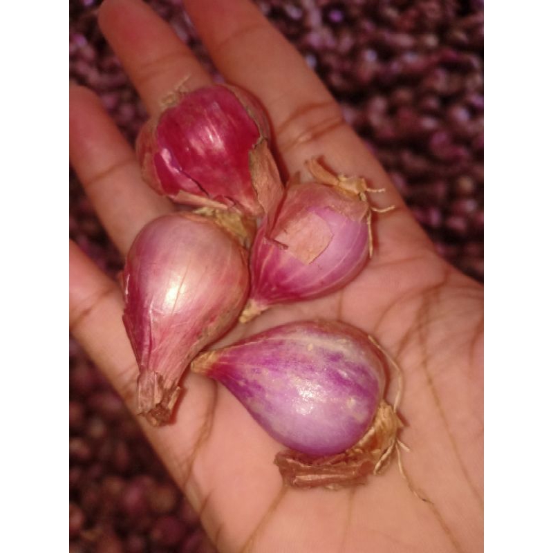

bawang merah asli nganjuk tanggung campur besar 1kg