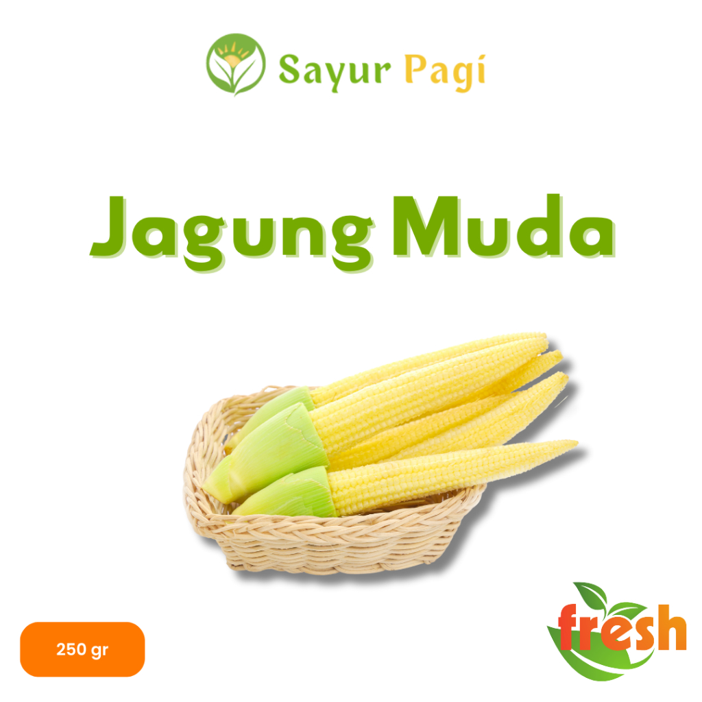 

Jagung Muda / Baby Corn Fresh - Sayur Pagi