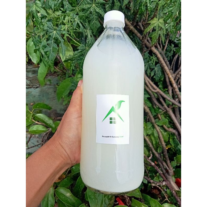 

cuka air kelapa raw dengan inangnya, kemasan botol kaca 1 liter khusus instant/sameday