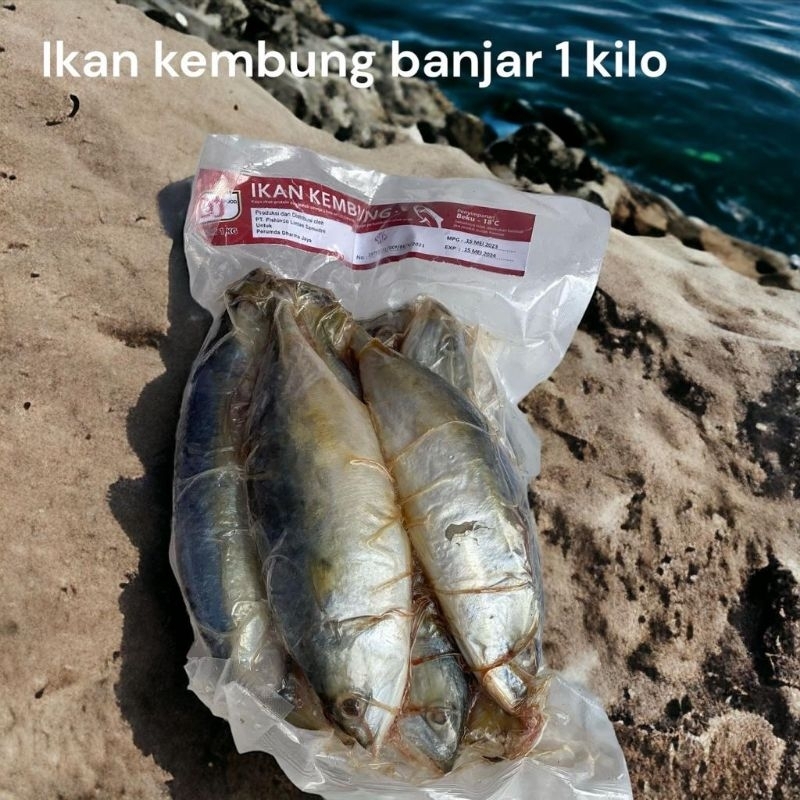

ikan kembung 1kg