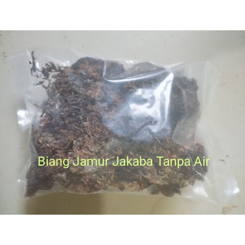 Biang/starter Jamur super Jakaba kering 50 gram