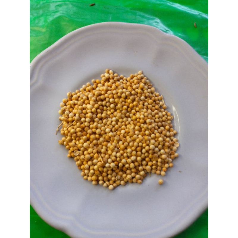 

ketumbar kuning super bulgaria 1 Kilogram