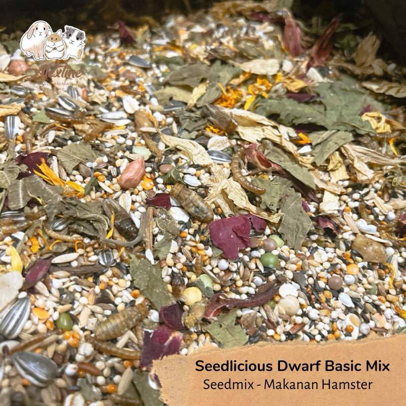 [PO] Seedlicious Dwarf Basic Syrian Basic 500g Makanan Hamster