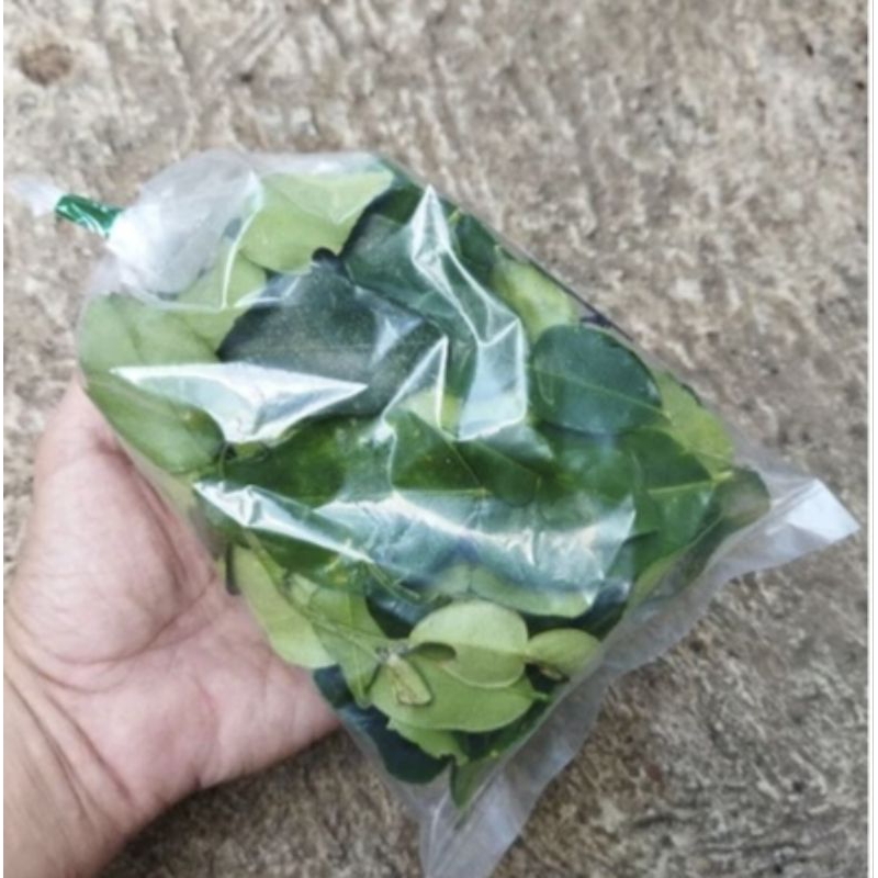 

KODE A Daun Jeruk Purut Segar per Bungkus 50 gram