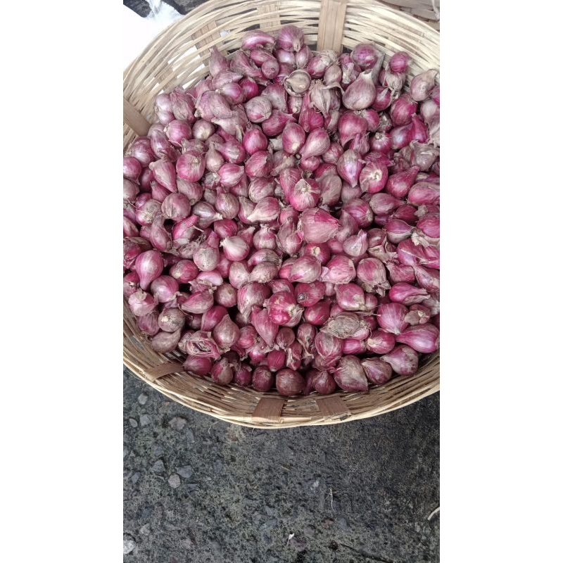 

bawang merah probolinggo 500gr