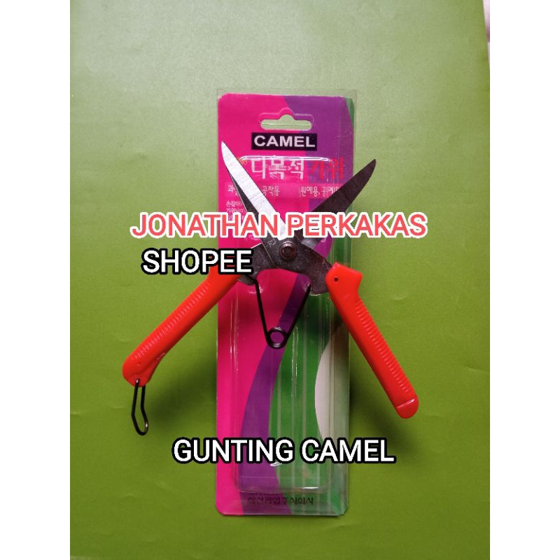 

gunting holo camel