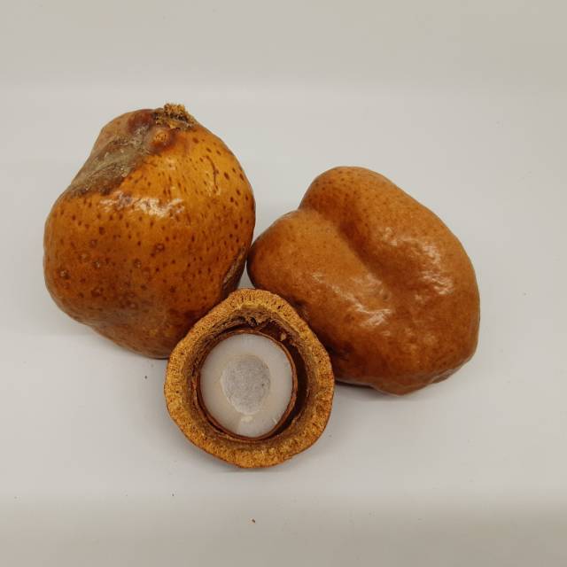 

Buah Zuriat Mesir Belah
