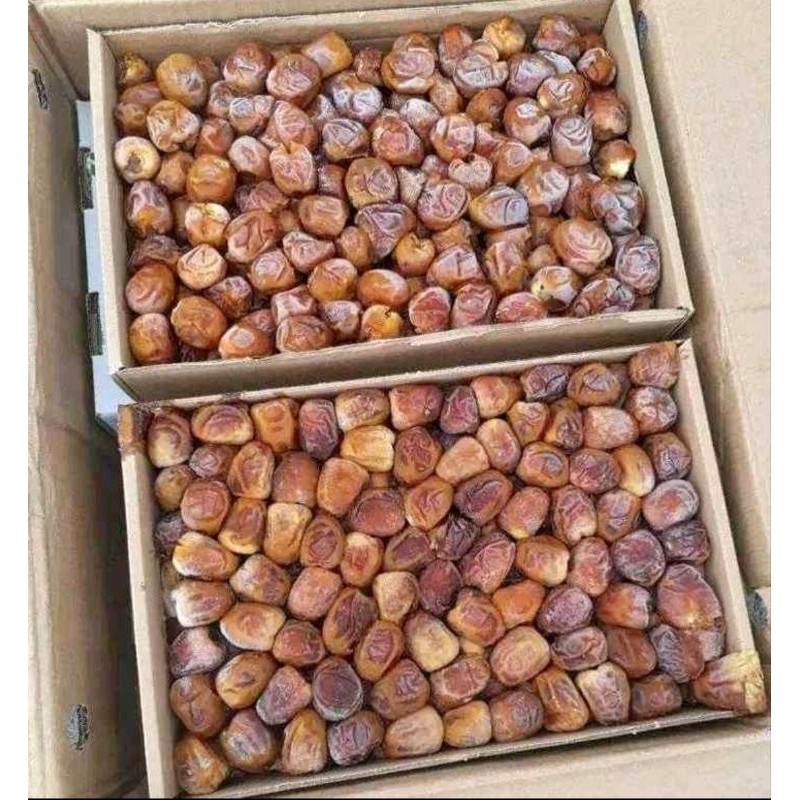 

Kurma Sukari Premium 3 Kg-Kurma Sukari Alharamain 3Kg-Sukari Alharamain Dates-Sukari raja