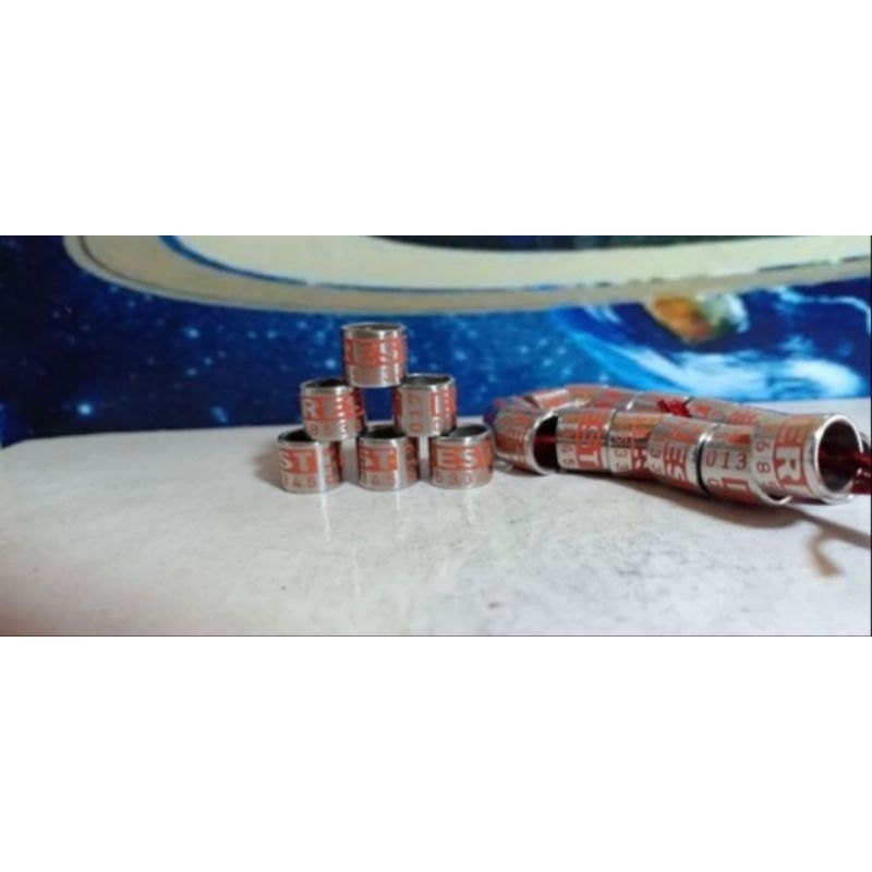 RING MERPATI BAJA TIMBUL WARNA