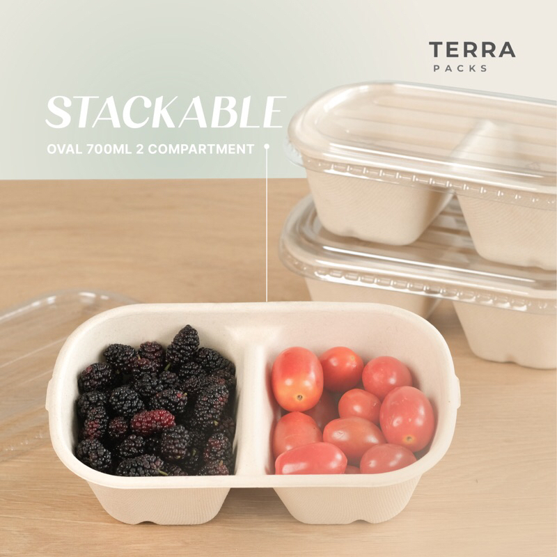 Terra Bagasse Oval 700 ML  Bento Paper Food Lunch Box Kekinian Clear Transparan Lid Sekat Container 